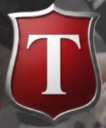Tysons Playground logo